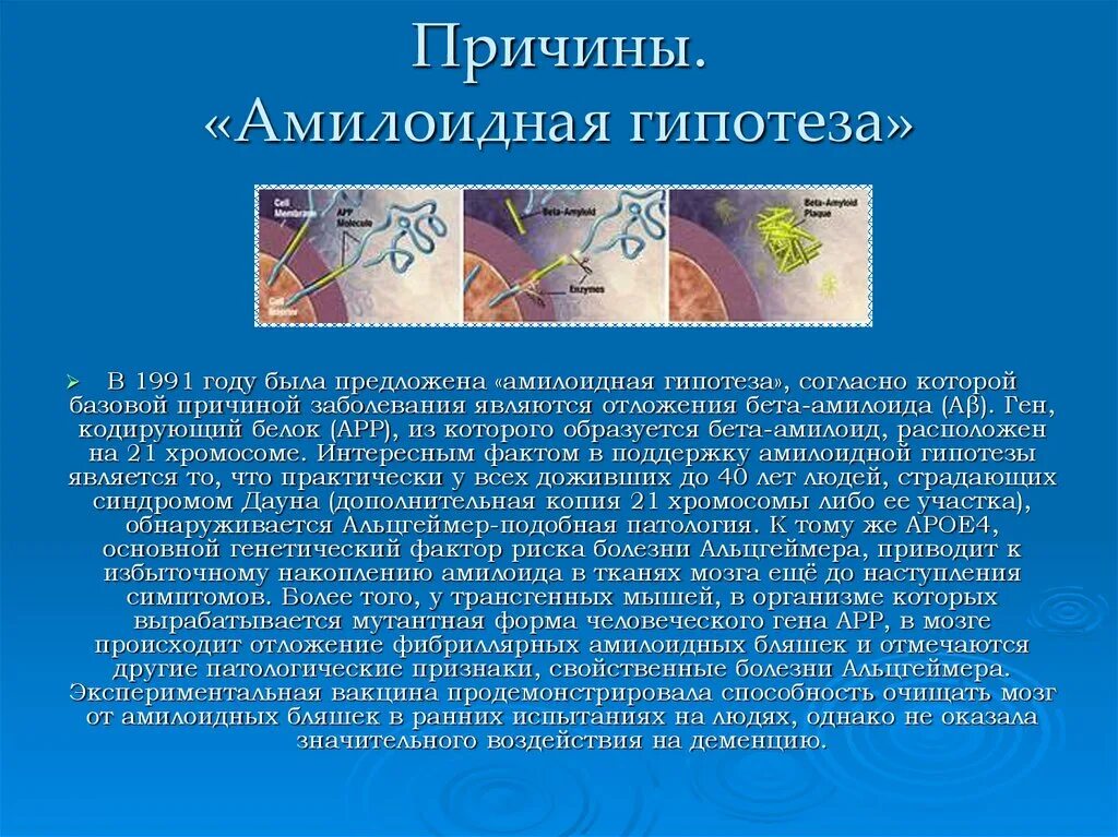 Амилоид при болезни Альцгеймера. Болезнь Альцгеймера амилоидные бляшки. Белок амилоид при болезни Альцгеймера. Болезнь Альцгеймера бета амилоид.