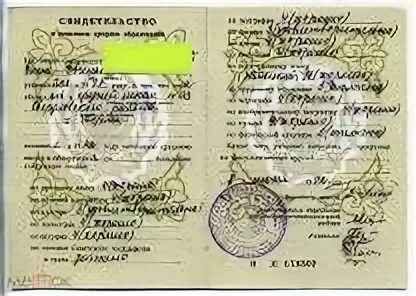 Как выглядит справка аттестат Где хранится аттестат