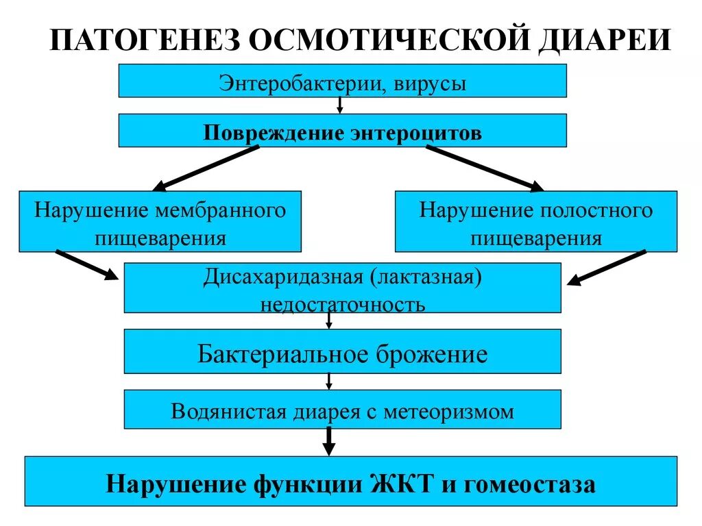 Патогенез ротавирусной инфекции. Экссудативная диарея патогенез. Ротавирусная инфекция патогенез схема. Осмотическая диарея механизм. Механизмы формирования диареи.