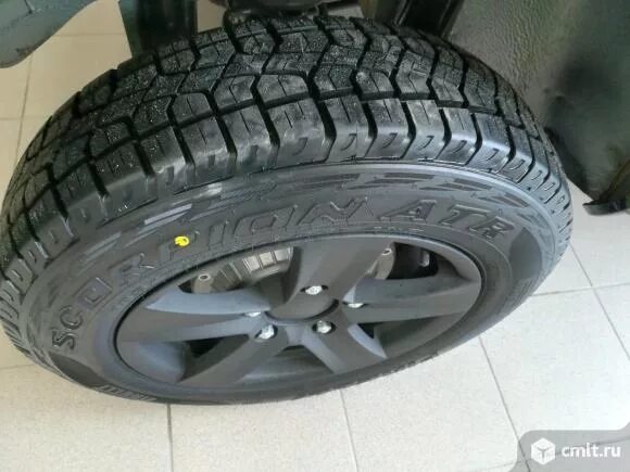 Pirelli Scorpion ATR 185/75 r16 93t. 185/75/16 Pirelli Scorpion ATR. Pirelli Scorpion ATR 185/75 r16 на ниву. Pirelli Scorpion 185/75 r16.