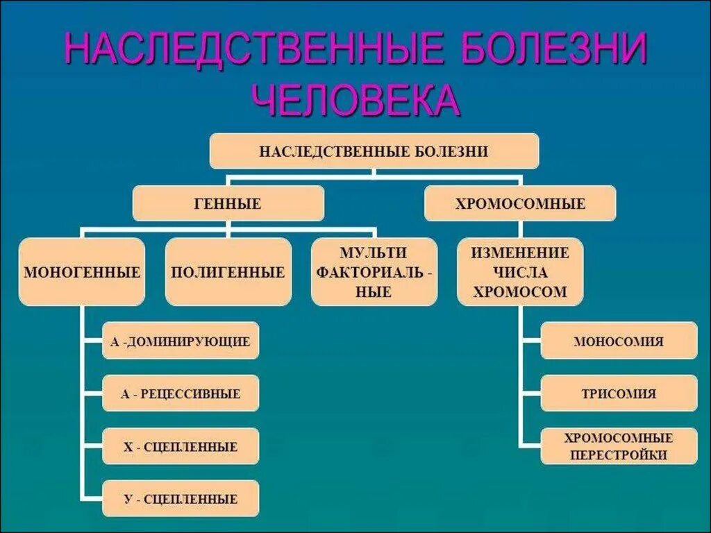 Генные и хромосомные заболевания. Генетические заболевания человека таблица с типами. Генные и хромосомные заболевания человека. Хромосомные наследственные заболевания человека. Геномные наследственные заболевания.