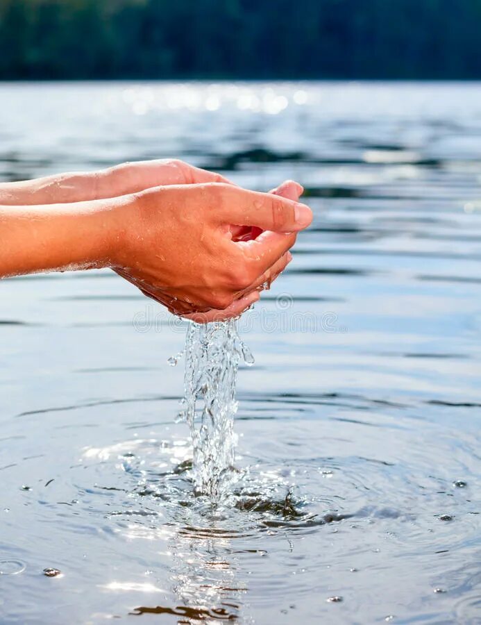 Вода в ладонях. Руки держат воду. Женская рука в чистой воде. Ладони держат воду. Включи руки вода