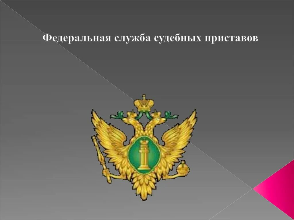 Органы фссп рф. Федеральная служба судебных приставов. Структура Федеральной службы судебных приставов. ФССП презентация. Судебный пристав для презентации.