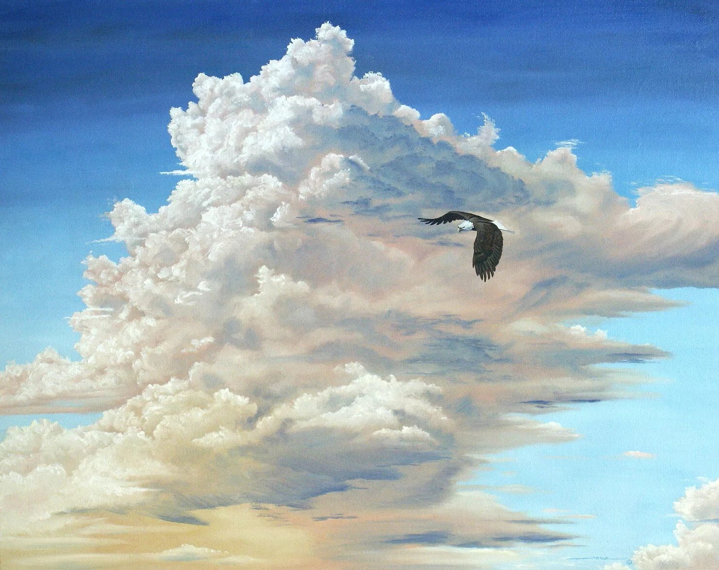 Облака надо мной летят. Небо живопись. Птицы в небе живопись. Полет в облаках. Парящая птица.