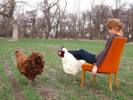 Up chicken