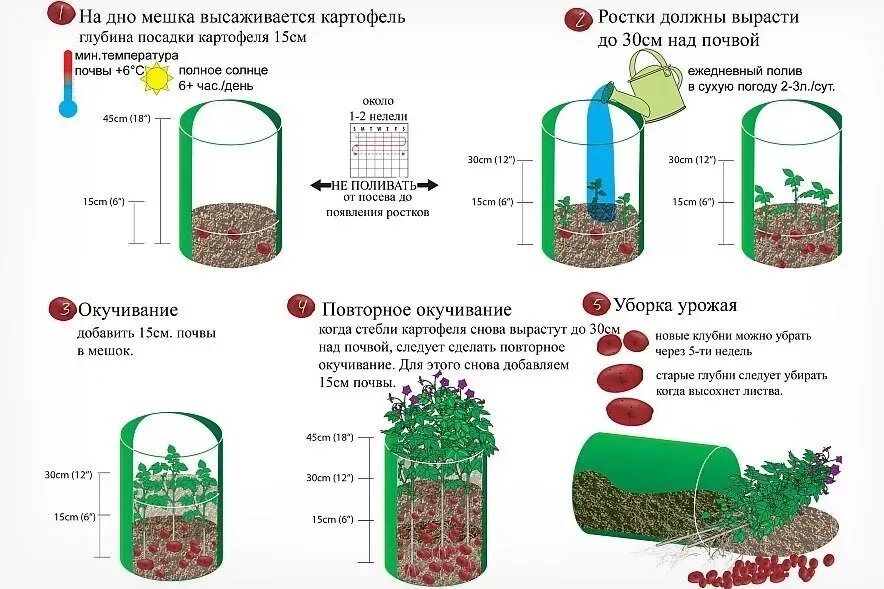 Температура почвы для посадки картофеля. Посадка картофеля в бочке пошагово. Как сажать картошку в мешках фото пошаговое. Посадка картошки в мешках ярусами. Посадка картошки в мешках технология.