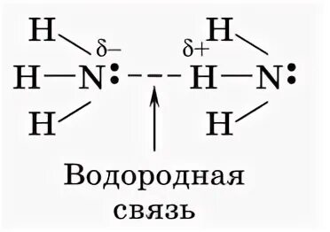 Nh 3 связь. Схема образования водородной связи nh3. Образование водородной связи между молекулами аммиака. Схема образования аммиака. Водородная связь в молекуле аммиака.