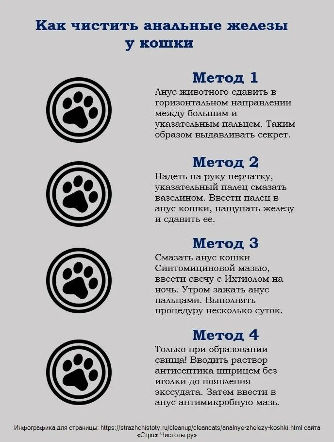 Как чистить параанальные железы у собак. Чистка анальных желез у собак. Чистка параанальных желёз у кошек. Как чистить анальные железы у собак. Чистить анальные железы.