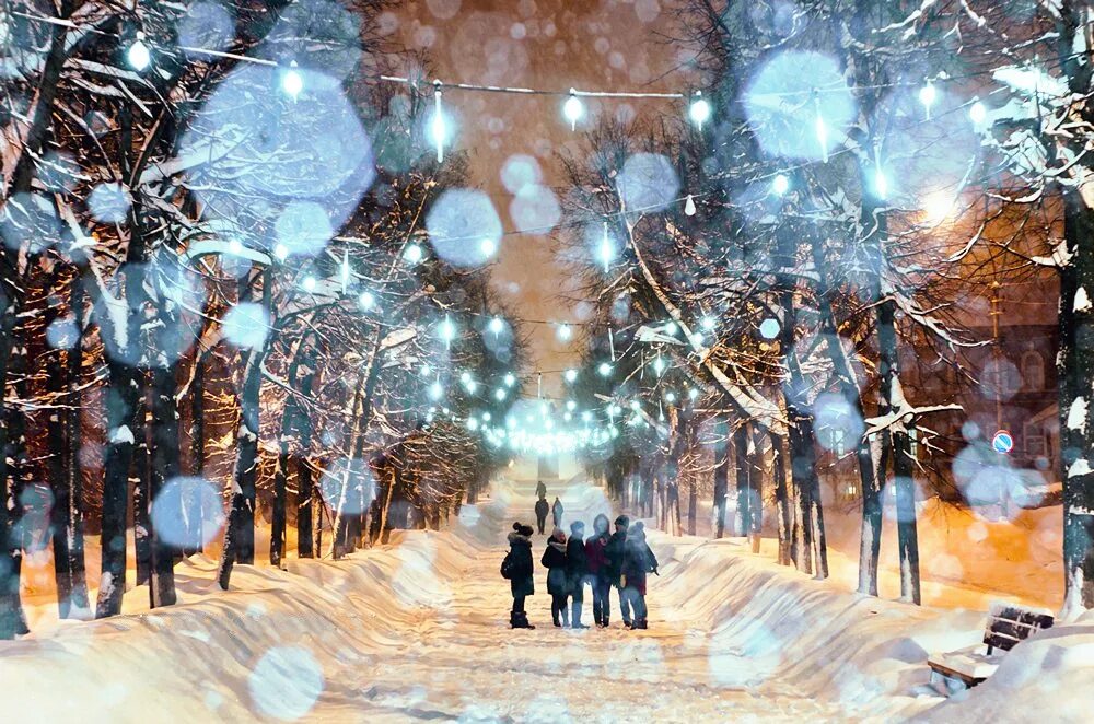 кострома куда сходить с детьми зимой. кострома куда сходить с детьми зимой.