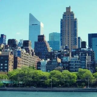 City 40