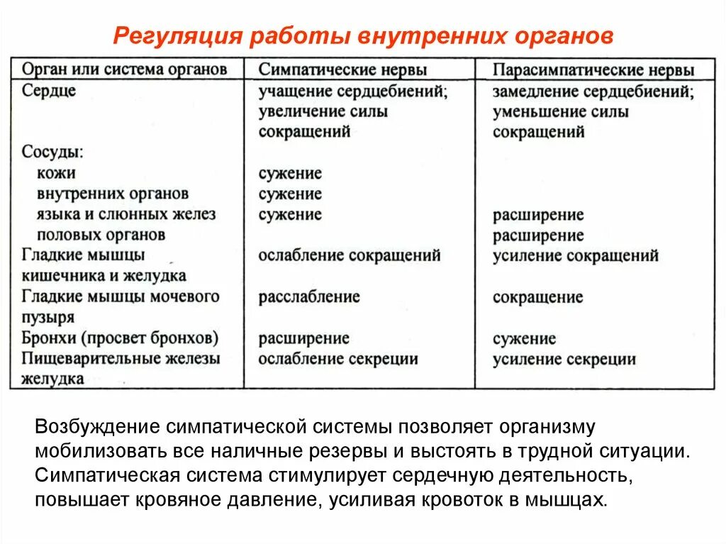 Парасимпатический отдел усиливает. Симпатическая регуляция работы органов. Симпатическая и парасимпатическая нервная система таблица. Симпатическая нервная система Центральный и периферический отделы. Активация парасимпатического отдела вегетативной нервной системы.