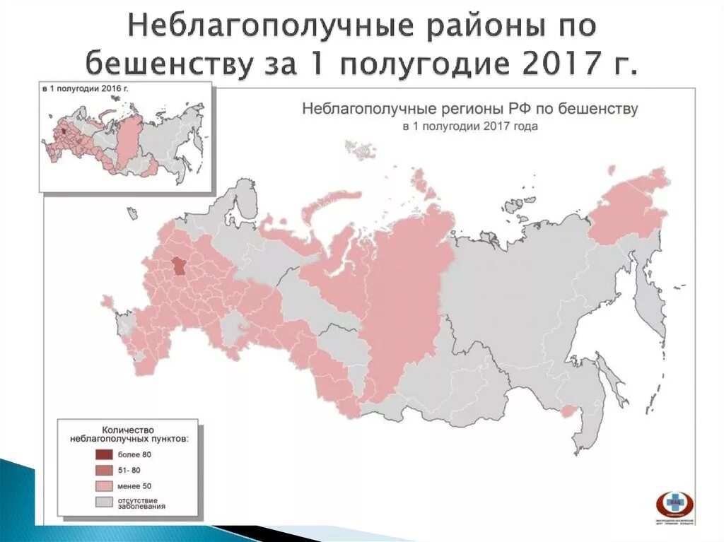 Сколько людей умерло от бешенства. Территория распространения в России бешенства. Эндемичные по бешенству регионы России. Статистика бешенства в России. Неблагоприятные районы по бешенству по России.