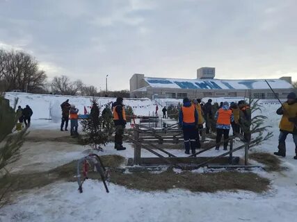 Зеленый остров омск 2024