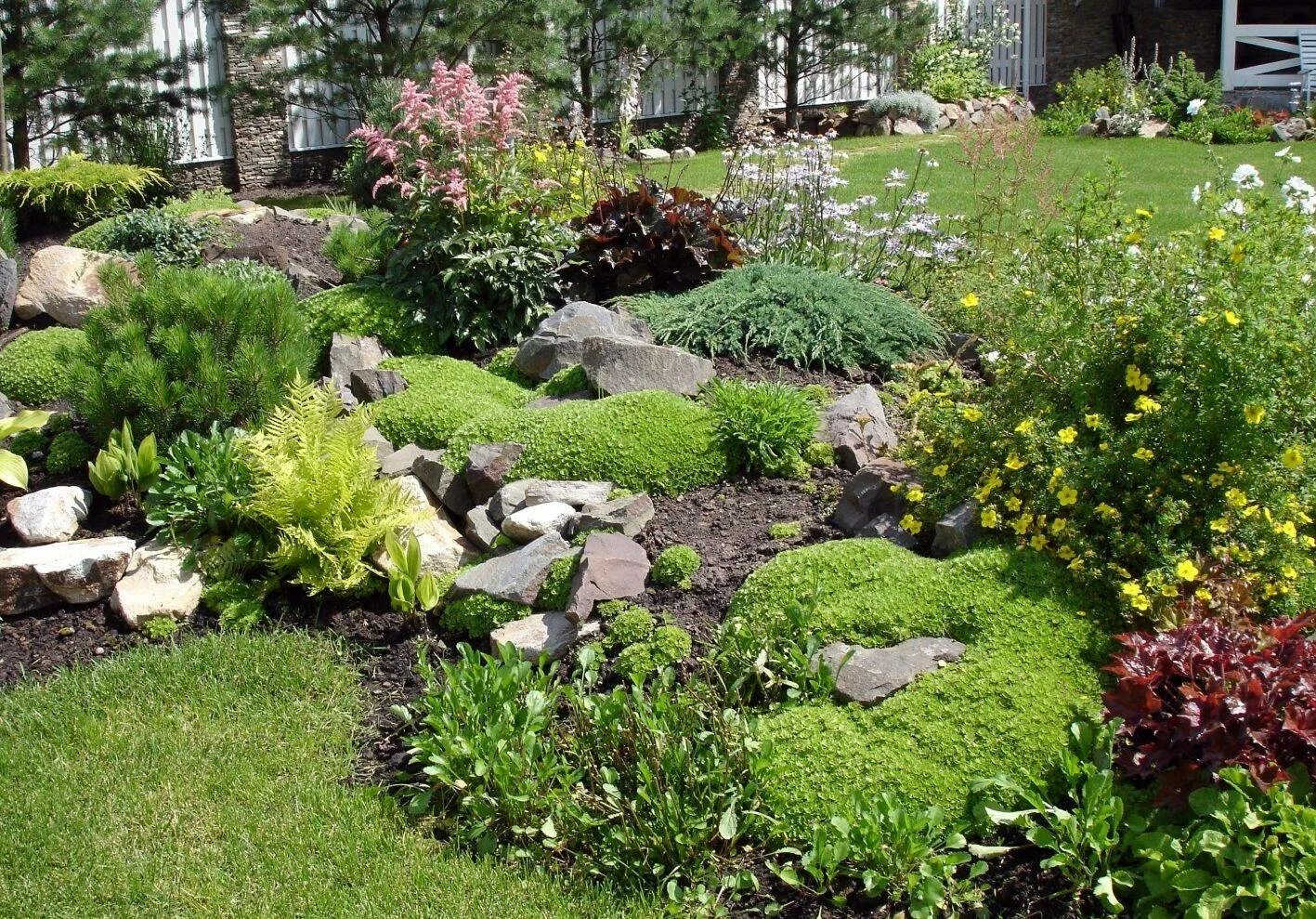 Рокарий в ландшафтном. Рокарий в ландшафтном. Рокарий каменистый сад. Каменистый рокарий. Альпинарий и рокарий.