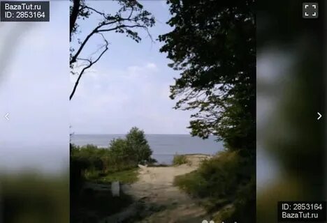 Погода донское калининградская область на 14
