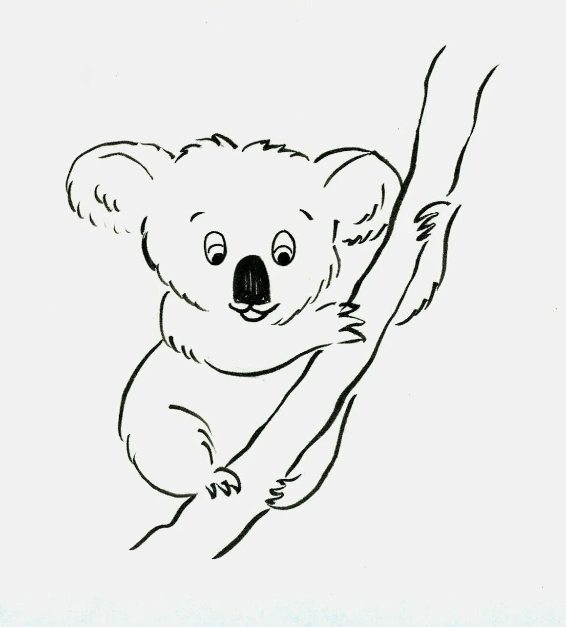 коала. куала рисунок. коала пастелью. коала рисунок. рисунок куала пейзаж.