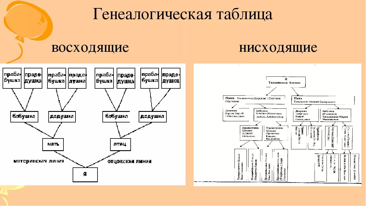 Родственники по восходящей линии. Генеалогическая таблица нисходящее. Нисходящая родословная таблица. Нисходящее семейное Древо. Горизонтальная родословная таблица.