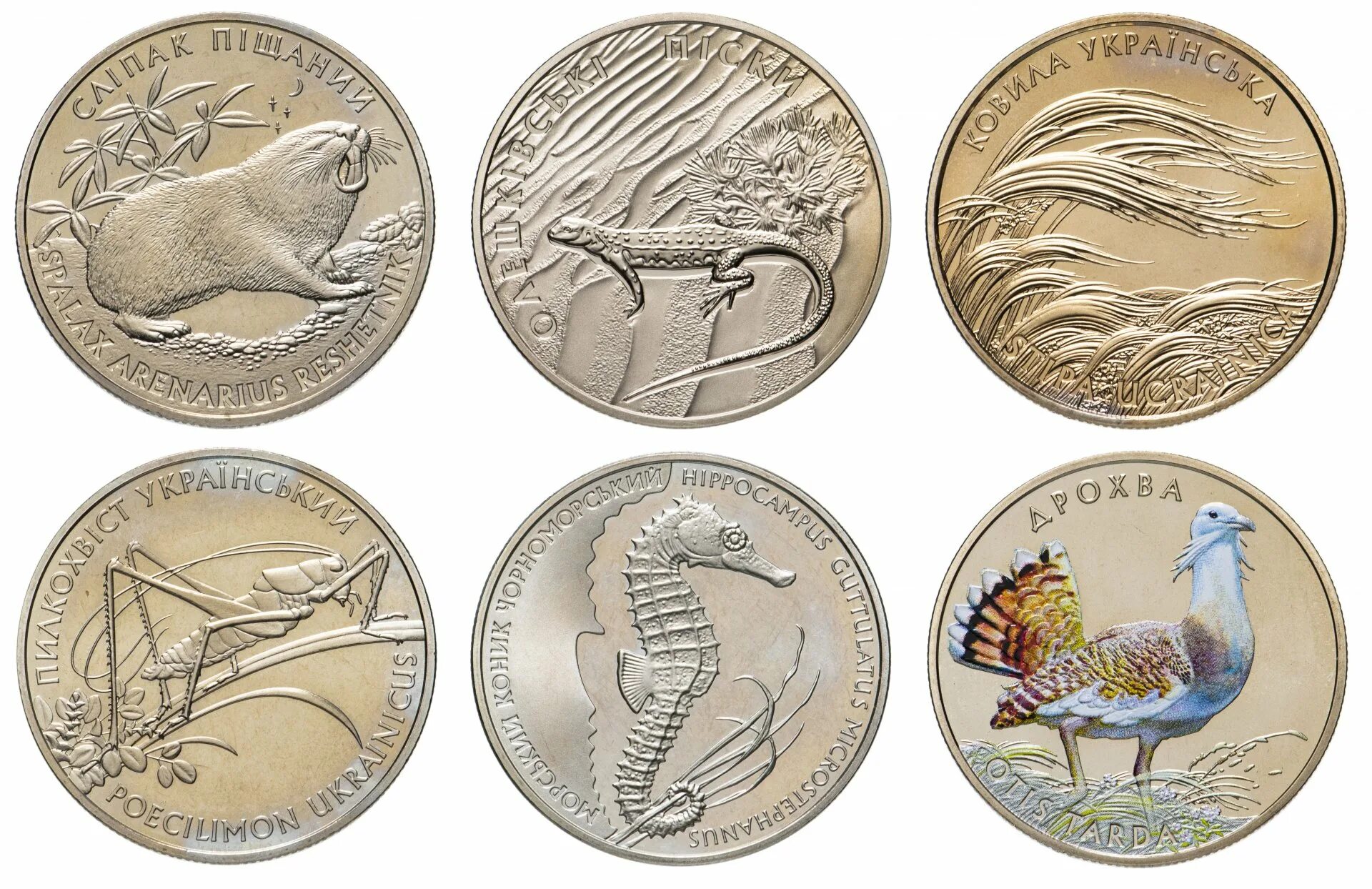 пять гривен в рублях