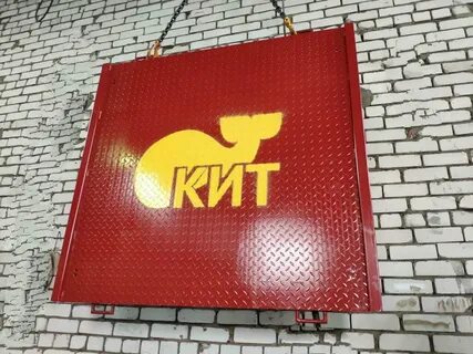 Кит волгоград