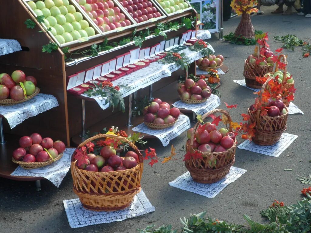 садовод саженцы. ярмарка садоводов. специальность садовод. садоводов 52. саженцы плодовых.