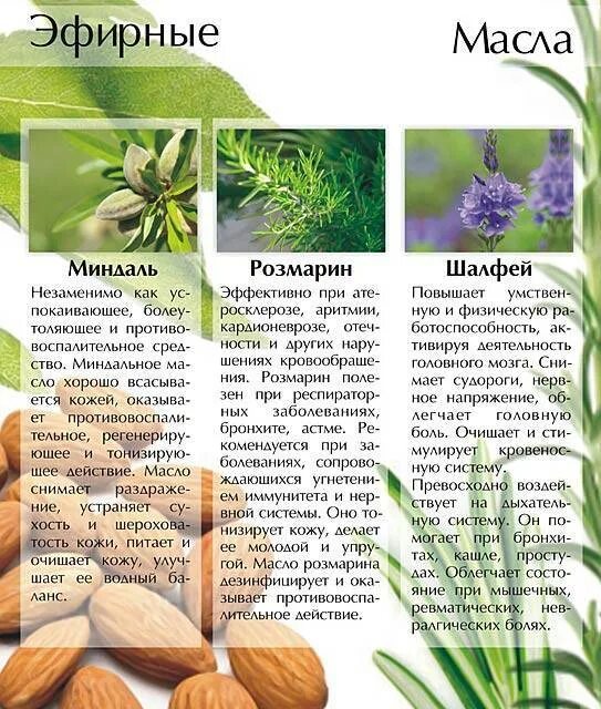 Эфирные масла свойства и применение таблица. Брошюра эфирные масла. буклет эфирные масла. эфирные масла в растениях. буклет ароматические масла.