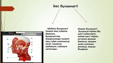 Жалаңаш Донна Милберн