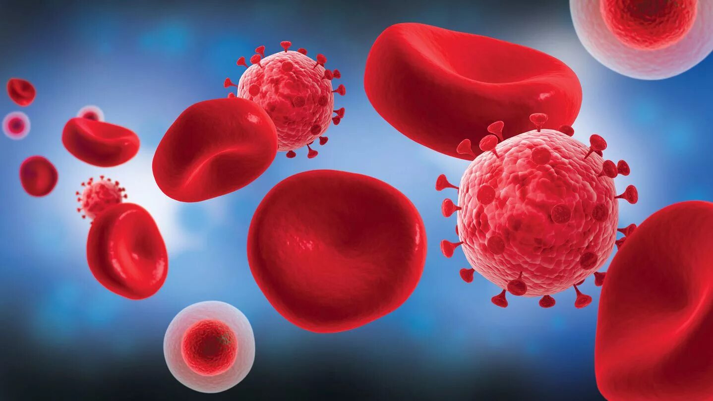 Клетки крови. Красные клетки крови. Клетки крови эритроциты. Эритроциты и вирусы.