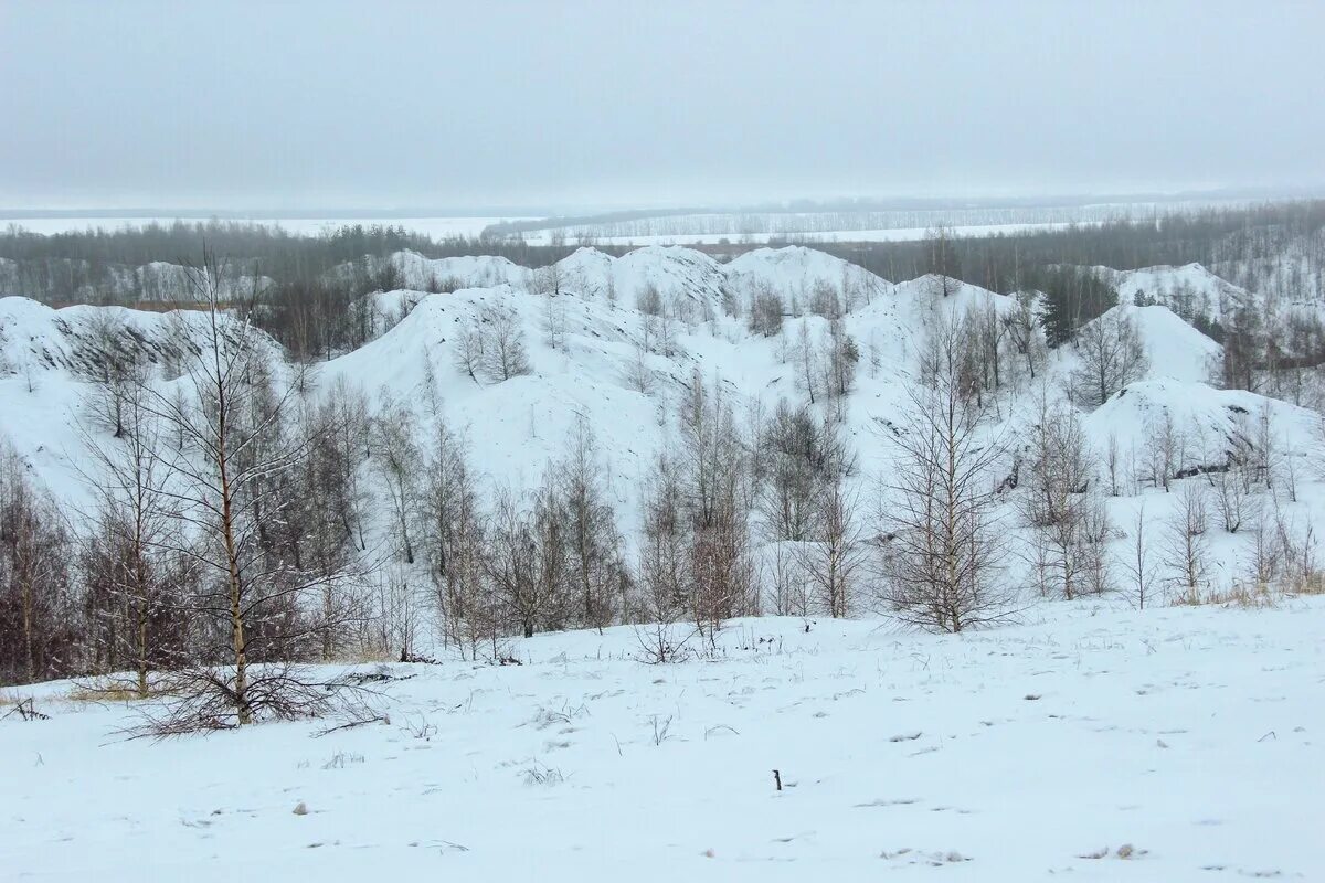 Река ока в белеве. Усадьба поленова в тульской области. Белев река ока. Кондуки тульская зимой. Тульская область зима.