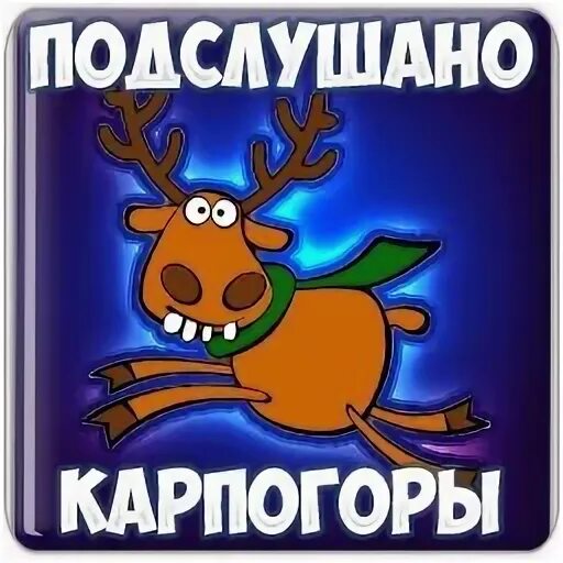 Подслушано карпогоры в контакте