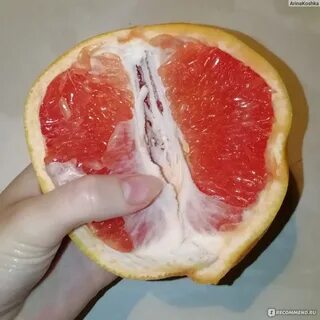 Грейпфрут горький