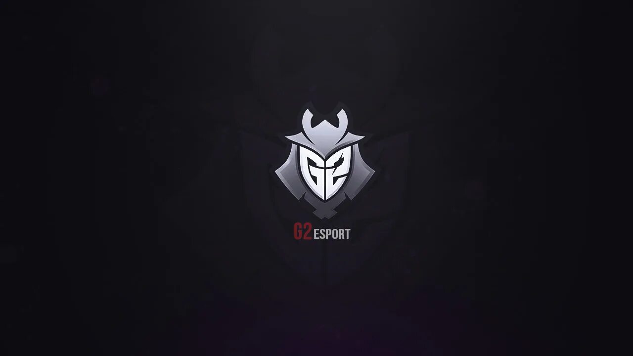 G2 Esports. G2 CS go. G2 Esports CS go. G2 Esports коробка. Гоу джи