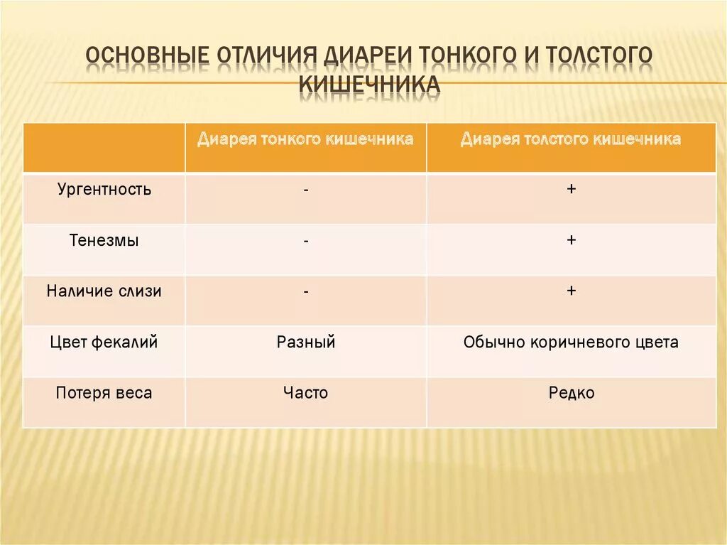 В чем видит толстой различие. Отличия тонкого кишечника. Толстый и тонкий кишечник отличия. Отличия тонкого и Толстого кишечника таблица. Различия тонкого и Толстого кишечника.