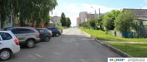 Пер ягодный