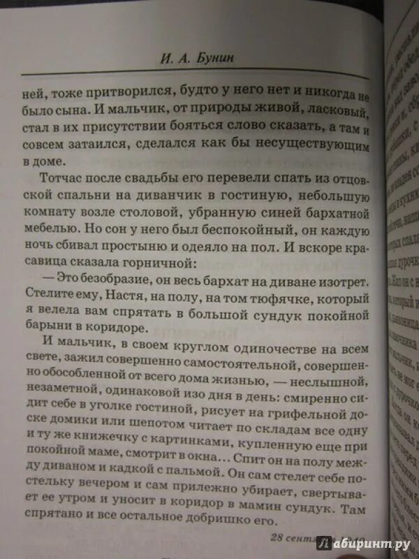 Жизнь и судьба героев рассказа и а Бунина темные аллеи. Сочинение на тему жизнь и судьба в рассказе Бунина темные аллеи. Эссе сочинение темные аллеи.