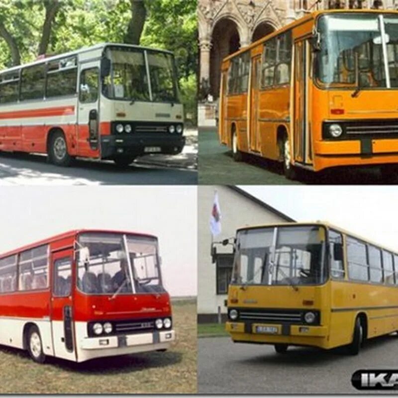 Как называется автобусный