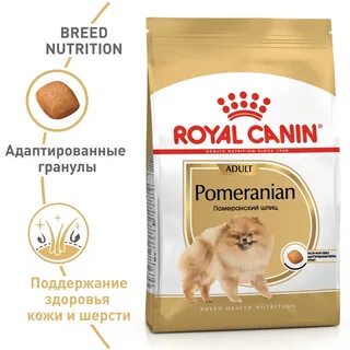 Сухие корма для собак шпиц