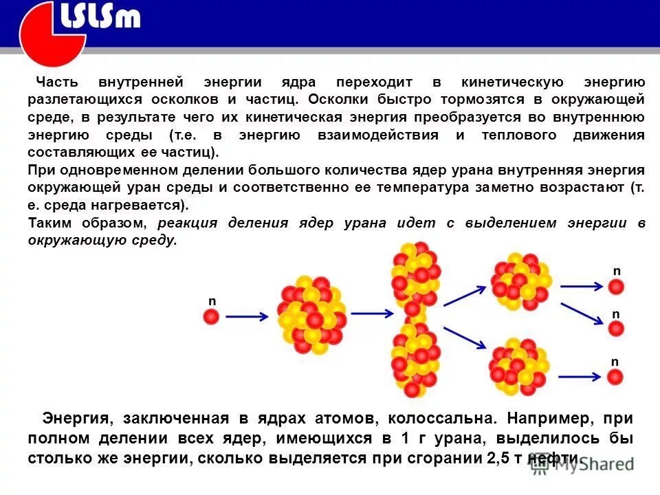 Деление ядер урана под действием нейтронов