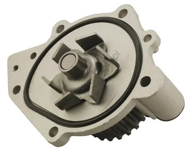 ровер помпа