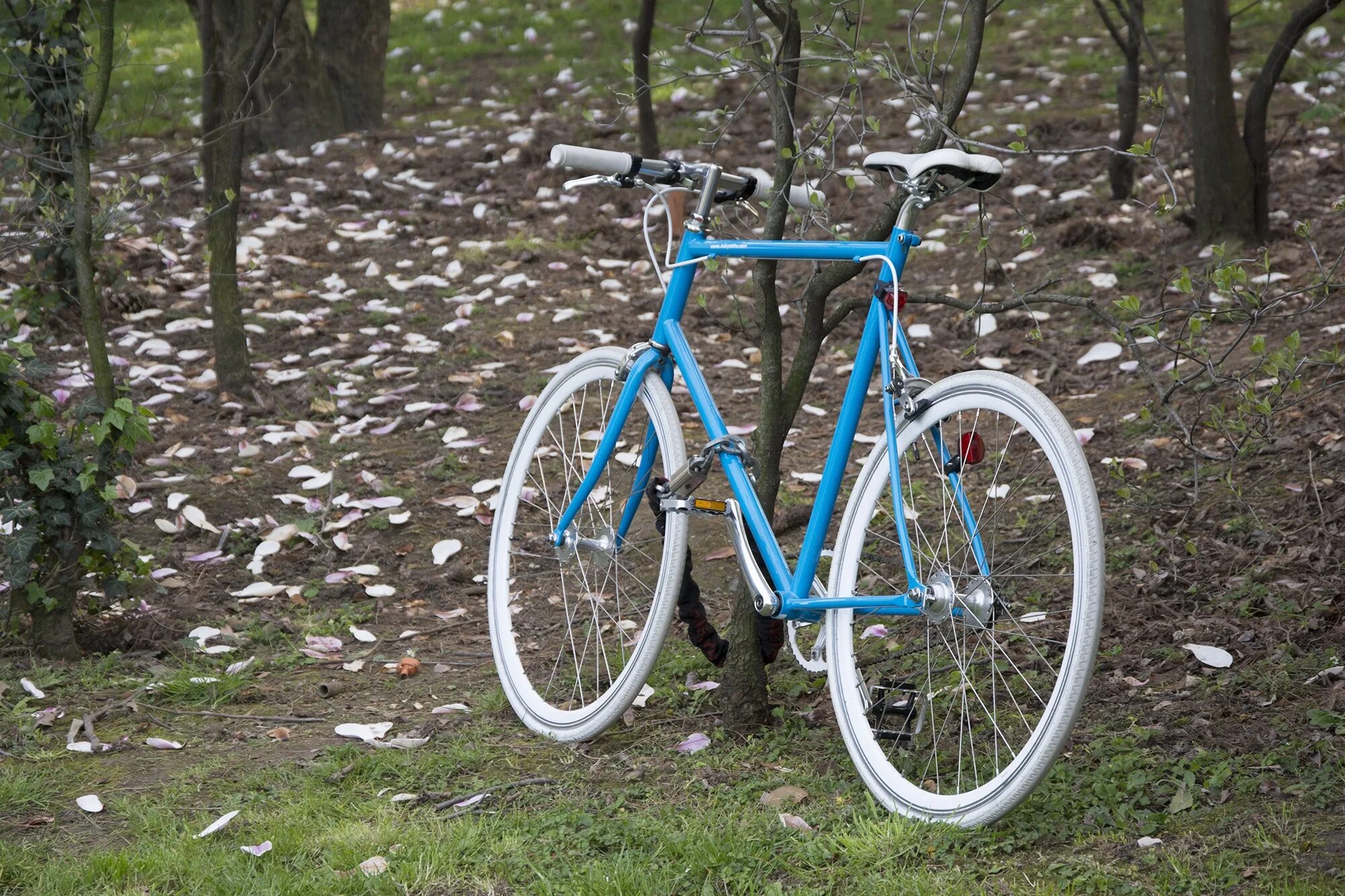 Велосипед в хорошем состояние. Велосипед фото. Голубой велосипед. Велосипед Bluebird. Дорога для велосипедов синяя.