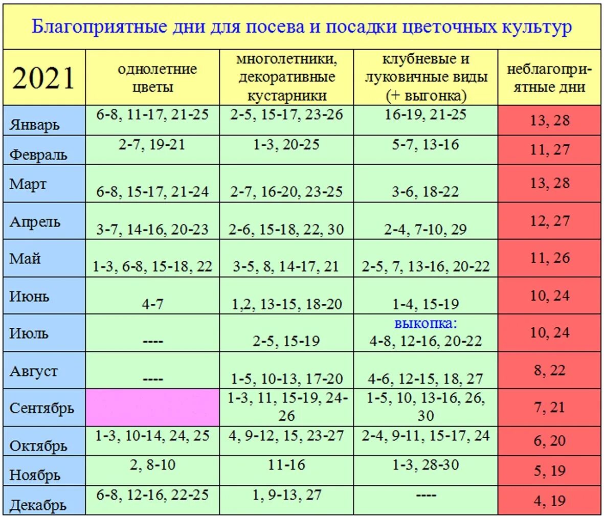 Лунный календарь посадок на декабрь 2023. Благоприятные дни для посадки цветов. Благоприятные дни для посадки комнатных цветов. Календарь комнатных растений. Лунный календарь для комнатных растений.