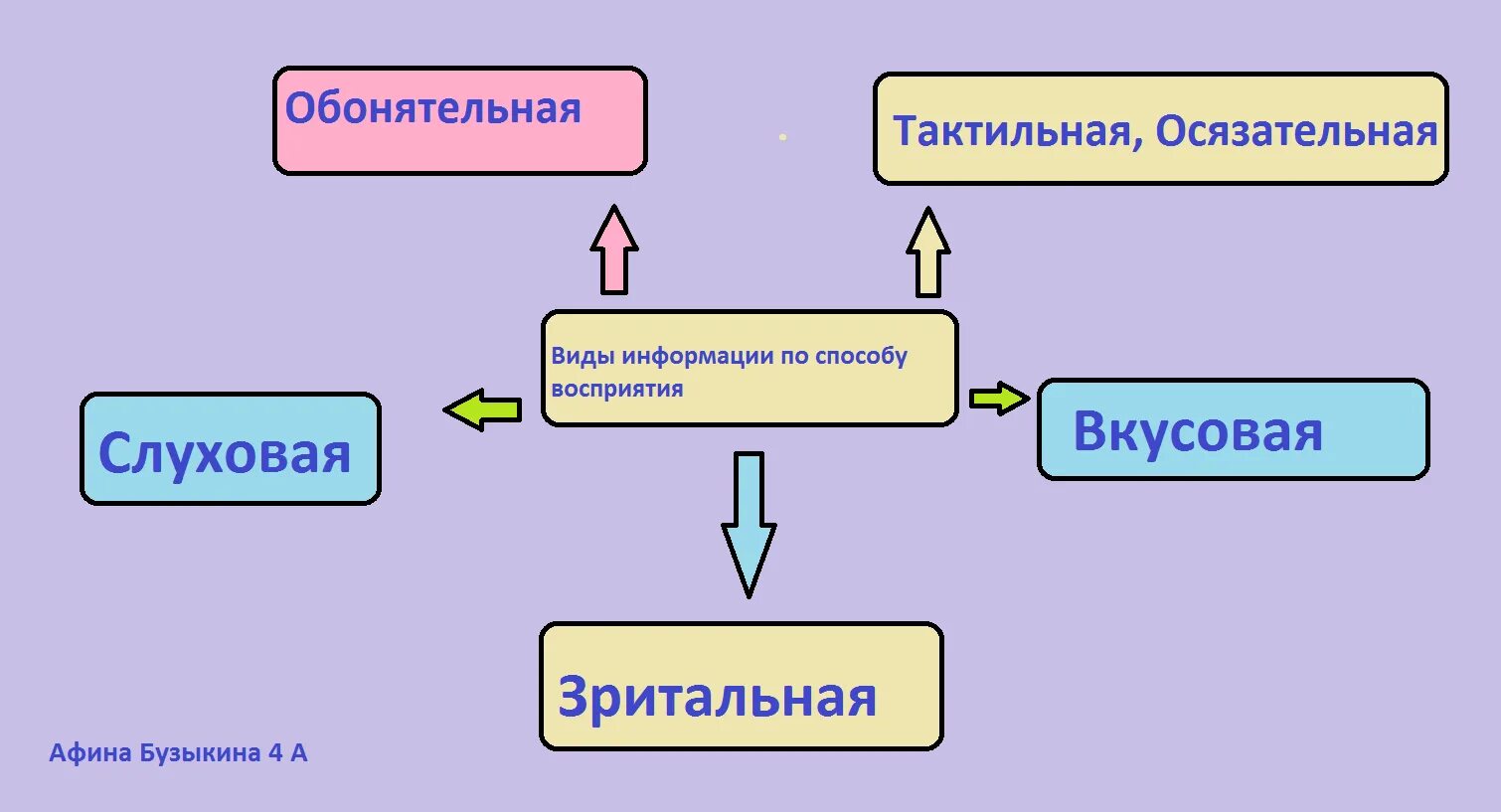 Виды обонятельной информации. Способы восприятия информации. Виды информации обонятельная. Восприятие информации человеком. Обонятельное восприятие информации.