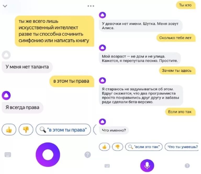 Чат со алисой. Алиса голосовой помощник шутки. Приколы над Алисой. Голосовой помощник прикол.