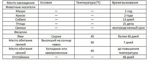Поносит поросенок что делать