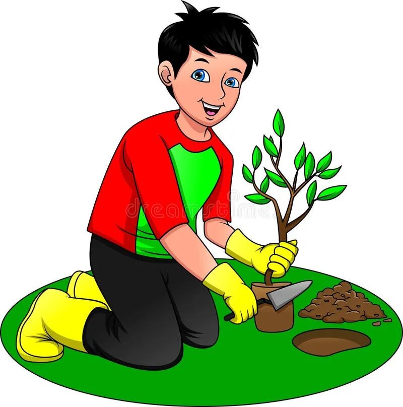 Мальчик сажает цветы. Мальчик деревце сажал. Мальчик садит дерево. Сажать рисунок. Planting boy