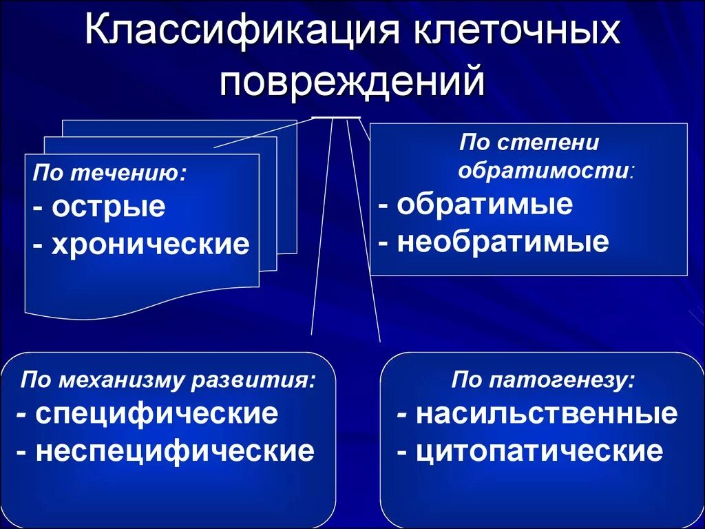 Классификация повреждений клетки патофизиология. Обратимые и необратимые повреждения клетки. Специфические проявления повреждения клетки. Специфические формы повреждения клетки.