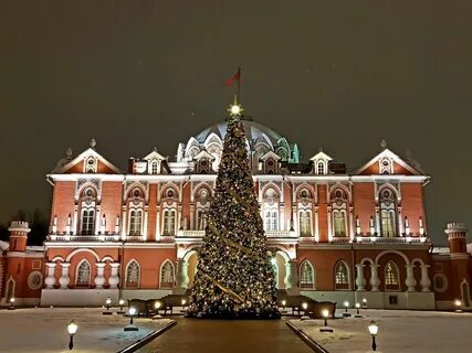 Петровские ели