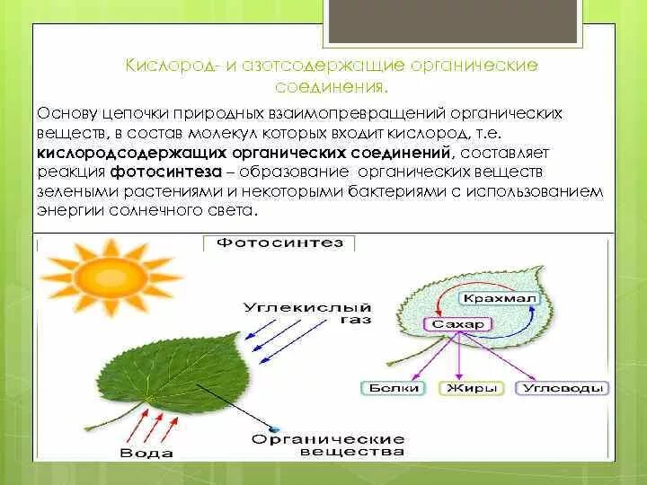 Состав каких веществ входит кислород. Классификация азотсодержащих органических соединений. Номенклатура азотсодержащих органических соединений. Кислород и азотсодержащие органические соединения. Азотсодержащие органические соединения таблица.