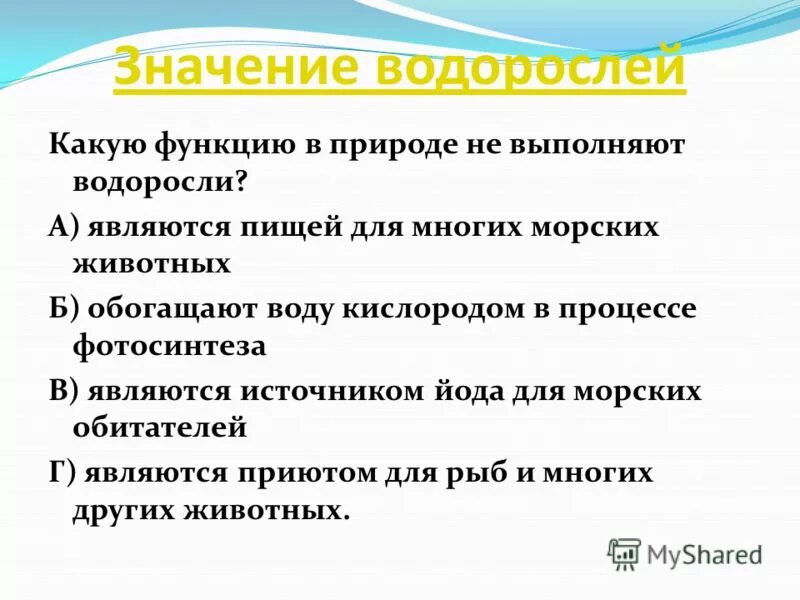 Какую роль выполняют водоросли. Какую роль выполняют водоросли