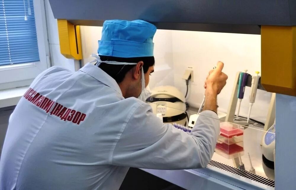 Виды надзора и контроля в роспотребнадзор. Продавщицы в сельских магазинах. Роспотребнадзор контроль. Плюсы и минусы работы в роспотребнадзоре. Роспотребнадзор мониторинг.