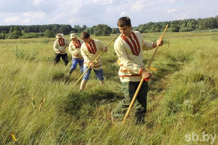 Коса на сенокос. Маковский косцы. Косить косой. Косцы. Сенокос косой.